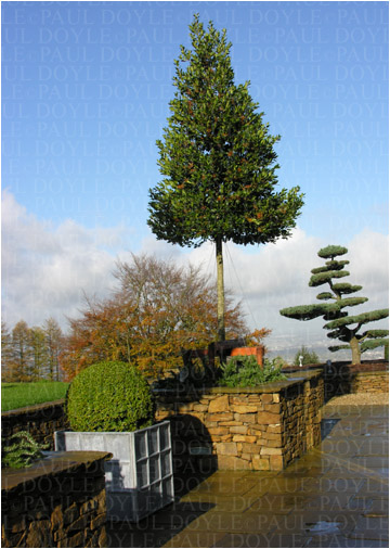 Longsdale Garden